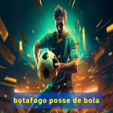 botafogo posse de bola